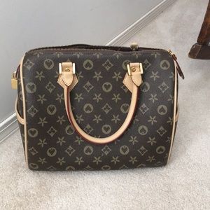 Louise Vuitton bag